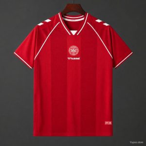 2026 Denmark Home Jersey